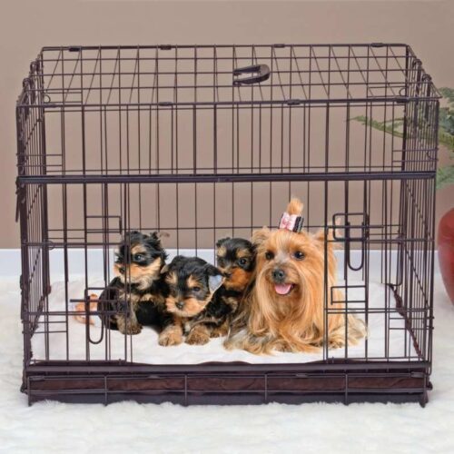 Lucky Dog Crate Sliding Door