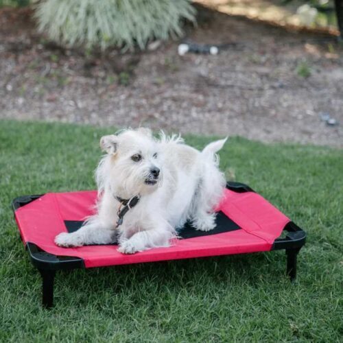 Lucky Dog Pet Bed