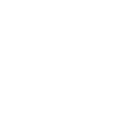 Brit GF Veterinary Diet