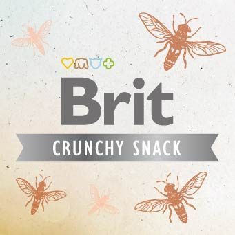 BC Crunchy avec des insectes