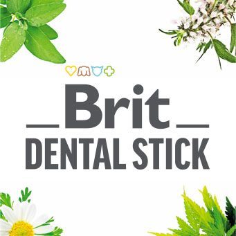 Brit Dental Sticks