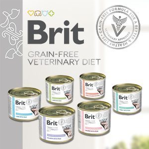 Brit VD Cat Cans